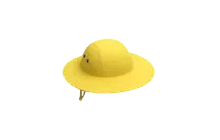 Rain Hat [Adopt Me - Pet Wear]