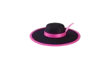 Bolero Hat [Adopt Me - Pet Wear]
