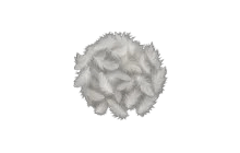 Dandelion Hat [Adopt Me - Pet Wear]