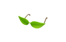 Eco Green Leaf Glasses [Adopt Me - Pet Wear]