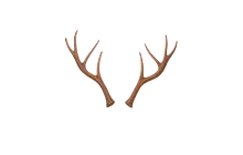 Reindeer Antlers [Adopt Me - Pet Wear]