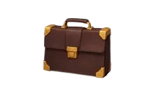 Briefcase [Adopt Me - Pet Wear]
