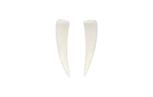 Walrus Tusks [Adopt Me - Pet Wear]