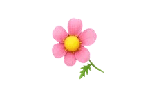 Flower Monocle [Adopt Me - Pet Wear]