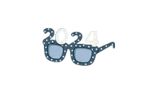 2024 Glasses [Adopt Me - Pet Wear]