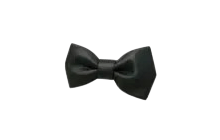 Bow Tie [Adopt Me - Pet Wear]