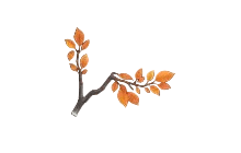 Eco Orange Leaf Wings [Adopt Me - Pet Wear]