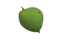Eco Green Leaf Afro [Adopt Me - Pet Wear]