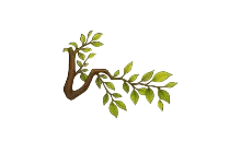 Leaf Wings [Adopt Me - Pet Wear]
