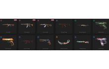 UNIQUE - Silver 2 -  Oni Vandal [16 Agents, 194 LVL, 2x Prime Skins and MORE!]