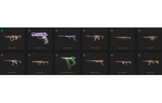 UNIQUE - Silver 2 -  Oni Vandal [16 Agents, 194 LVL, 2x Prime Skins and MORE!]