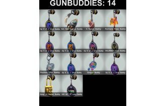 UNIQUE - Unranked - Sovereign Marshal [7 Agents, 31 LVL and MORE!]