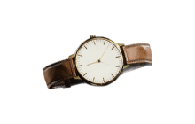 Fine Wristwatch [ARC Material]