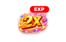 2&times;Exp [Sailor Piece]
