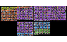 UNIQUE - IKONIK , Wonder [509 Skins, 368 Axes, 183 Emotes, 152 Gliders and MORE!]