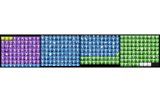 UNIQUE - Black Knight, Sparkle Specialist [487 Skins, 391 Axes, 309 Emotes, 259 Gliders and MORE!]