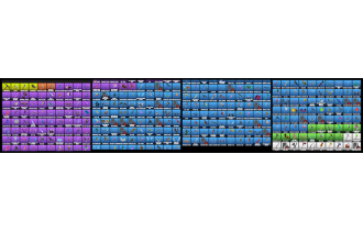 UNIQUE - Black Knight, Sparkle Specialist  [328 Skins, 310 Axes, 290 Emotes, 260 Gliders and MORE!]