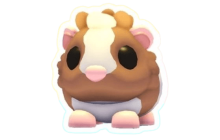Chocolate Dutch Guinea Pig [Adopt Me - Pets]