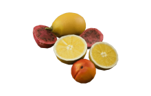 Fruit Mix [ARC Material]