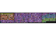 UNIQUE - OG Skull Trooper, Take The L [271 Skins, 263 Axes, 207 Emotes, 154 Gliders and MORE!]