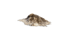 Fertilizer [ARC Material]