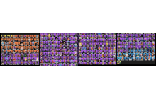 UNIQUE - IKONIK, Leviathan Axe [317 Skins, 374 Axes, 305 Emotes, 260 Gliders and MORE!]