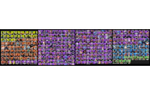 UNIQUE - Black Knight, Sparkle Specialist  [303 Skins, 320 Axes, 265 Emotes, 232 Gliders and MORE!]