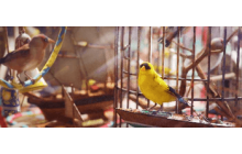 [Avian Alarm Material] Foundation 2~5 [ARC Avian Alarm Material]