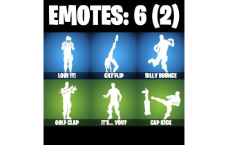 UNIQUE -  Zenith , Lynx  [2 Skins, 200 Vbucks, 4 Axes, 6 Emotes, 9 Gliders and MORE!]