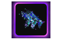 Butterfly Dual Uzis [HyperShot]