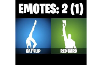UNIQUE - Zenith , Lynx  [3 Skins, 50 Vbucks, 4 Axes, 2 Emotes, 3 Gliders and MORE!]
