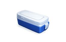 Summer Skin Case [Rivals]