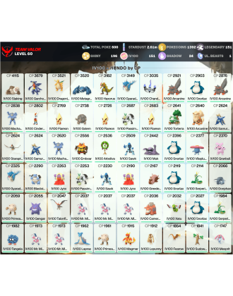 Legendary: 151 | Shiny: 196 | Hundo: 151 | ShinyLegend: 6 [Level: 60 | Stardust: 2.62m | Team: Valor]