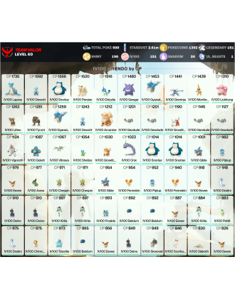 Legendary: 151 | Shiny: 196 | Hundo: 151 | ShinyLegend: 6 [Level: 60 | Stardust: 2.62m | Team: Valor]