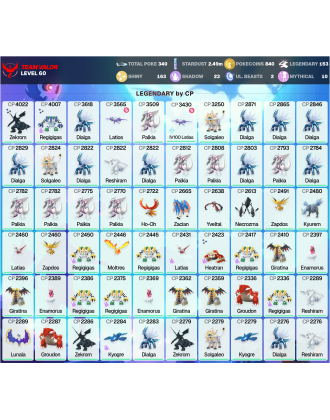 Legendary: 153 | Shiny: 163 | ShinyLegend: 8 [Level: 60 | Stardust: 2.49m | Team: Valor]