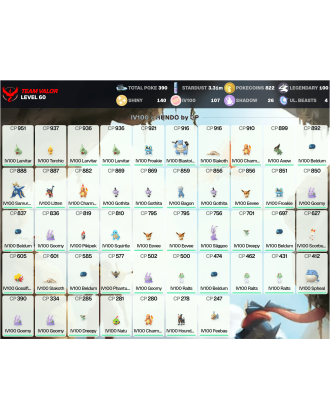 Legendary: 100 | Shiny: 140 | Hundo: 107 | ShinyLegend: 9 [Level: 60 | Stardust: 3.31m | Team: Valor]