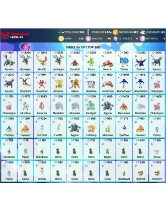 Legendary: 121 | Shiny: 124 | ShinyLegend: 7 [Level: 60 | Stardust: 2.63m | Team: Valor]