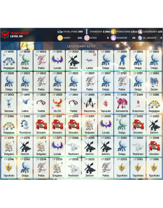 Legendary: 123 | Shiny: 141 | Hundo: 8 | ShinyLegend: 9 [Level: 60 | Stardust: 2.37m | Team: Valor]