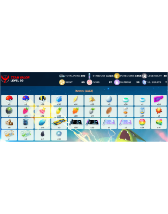 Legendary: 80 | Shiny: 65 | Hundo: 87 | ShinyLegend: 5 [Level: 60 | Stardust: 3.31m | Team: Valor]