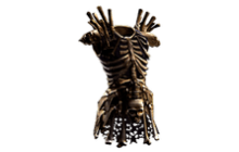 Dread Suit [PoE Mirrored Item]