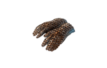 Rift Grip [PoE Mirrored Item]