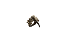 Death Grasp [PoE Mirrored Item]