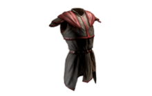 Pain Pelt [PoE Mirrored Item]