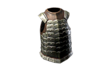 Gale Hide [PoE Mirrored Item]