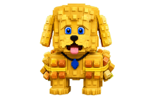 Gold Noodle Noodle Poodle [Steal A Brainrot]