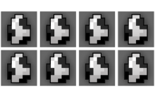 8x Common Penguin Egg