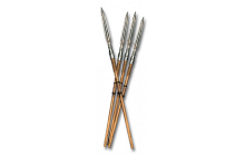 Thunderstroke (Ladder) [Javelins]