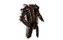 Belly of the Beast 6L [PC Standard - SC]