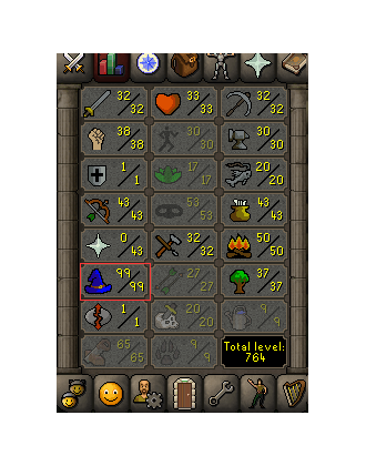 Max Pure Mage
