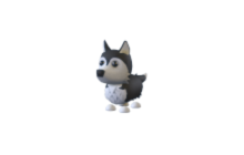 Husky (Adopt Me - Pet) [Flyable, Rideable]